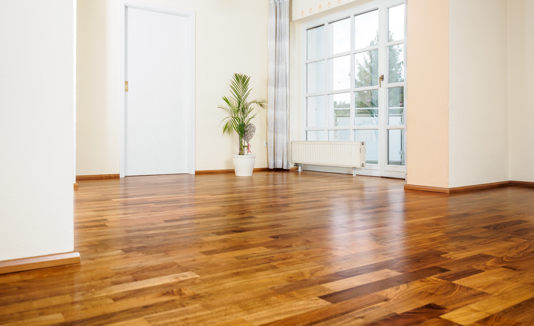 Sunlight falling across rich timber flooring in an airy interior